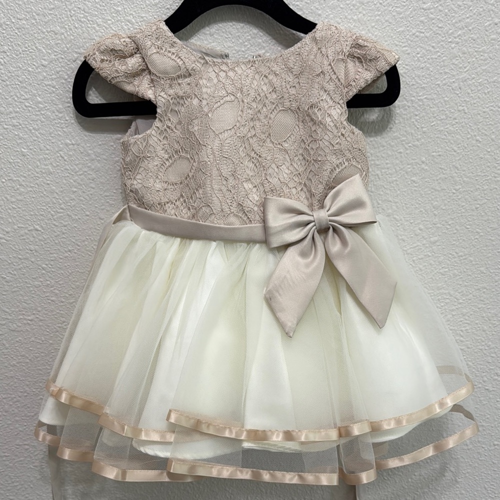 Rare Editions Lace and Tulle Dress in Cream and Tan